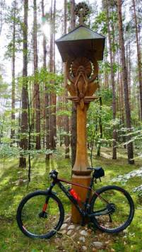 IMG_20201004_133739.thumb.jpg.6e63bdf19080cfa05551161833c918cd.jpg