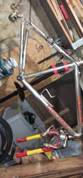 IMG_20201006_195332.jpg
