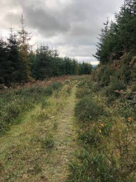 image12.jpeg