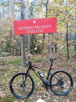IMG_20201025_071842 (1).jpg