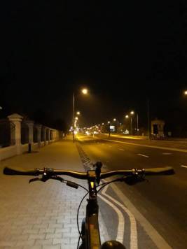 20201104_041137.jpg