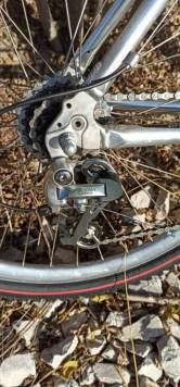 IMG_20201101_131035.jpg