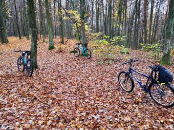 IMG_20201108_101659-01.jpeg