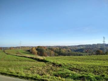 IMG_20201108_122021_HDR.thumb.jpg.0cce8fa2b4666f436b352c89bb947ceb.jpg