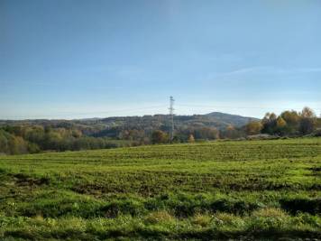 IMG_20201108_122039_HDR.thumb.jpg.46a65bf121b6e2692639790a740eff37.jpg