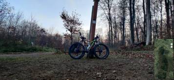 IMG_20201114_162303.jpg