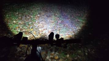 IMG_20201115_172440.jpg