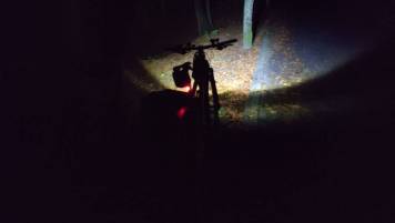 IMG_20201115_175010.jpg