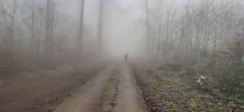 IMG_20201128_124836.jpg