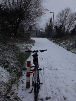 20201203_152848.jpg