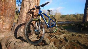 DSC_0671.JPG