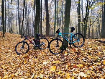 IMG_20201031_091330-01.jpeg
