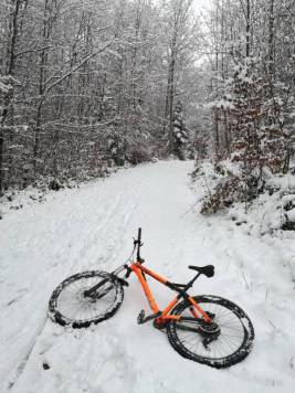 IMG_20201201_121317.jpg