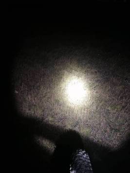 IMG_20201202_003133.jpg