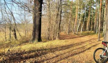 IMG_20201206_122150.jpg