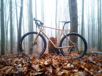IMG_20201213_104531_1CS.jpg