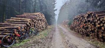 IMG_20201213_140044.thumb.jpg.156cdf9c29a28cf394113604a3cdf3ff.jpg