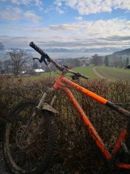 IMG_20201217_123806.jpg
