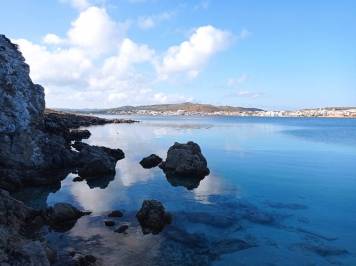 IMG_20201218_103921.jpg