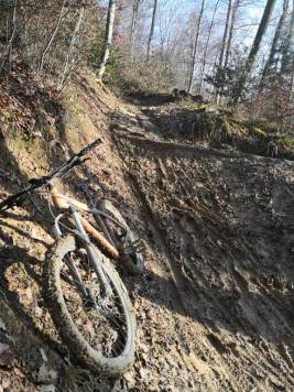 IMG_20201220_131038.jpg