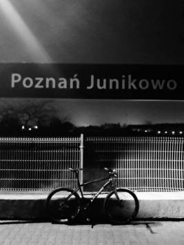 Lumii_20201217_173347861.jpg