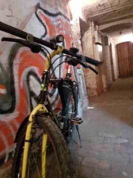 20210302_063702.jpg