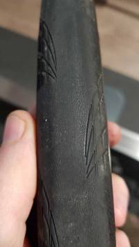 20210322_175819.thumb.jpg.a424dd2d344a250b3dc427bf204ba2a9.jpg