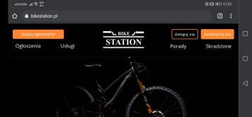 Screenshot_20210311_172137_com.android.chrome.jpg