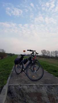 20210420_171426.thumb.jpg.7f54fc14eb9b47bef6c4a5c92ebde047.jpg