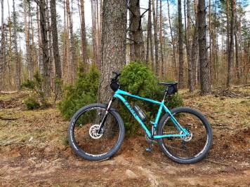 IMG_20210403_122757-01.jpeg