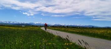 IMG_20210526_111354[1].jpg