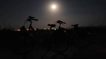 20210621_232151.thumb.jpg.22af603f5e7319b315cec96ecec44b7d.jpg