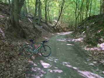 DSC_0197.JPG