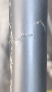 IMG_20210620_100313.jpg