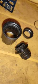 IMG_20210712_173447.jpg