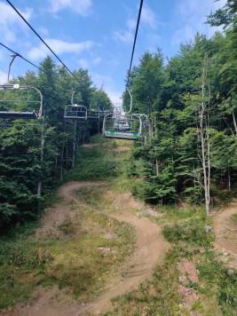 IMG_20210725_161414.jpg