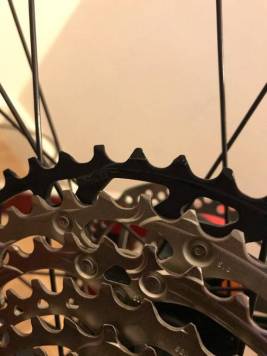 IMG_4163.JPEG