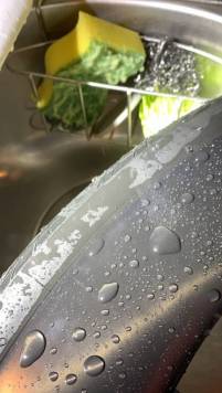 C7F42085-3742-49DA-A8A9-E75FC6B460E3.jpeg