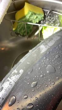 F404307C-676E-4473-A9AB-89B67584321C.jpeg