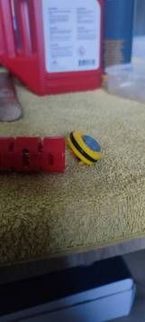 IMG_20220527_200019.jpg