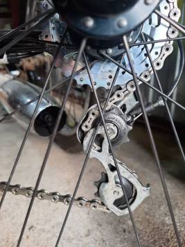 Resized_20220527_195732.jpeg