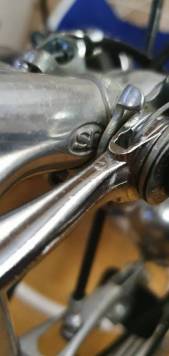 20220627_214451.jpg