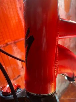 IMG-0455.jpg