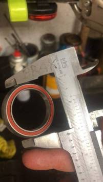 received_4800286256738296.jpeg