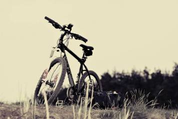 IMG_20210322_154405.JPG