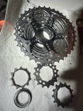 IMG_5641.jpeg