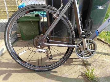 najwieksze zebatki.jpg